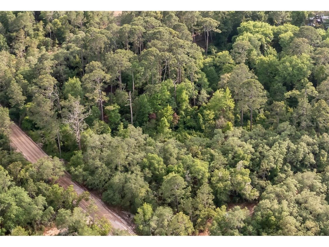 102 Cypress Street Interlachen FL 32148 GC522160 image1