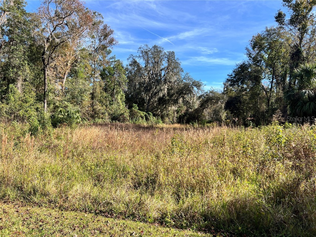 102 Dunlawton Avenue San Mateo FL 32187 FC306149 image1