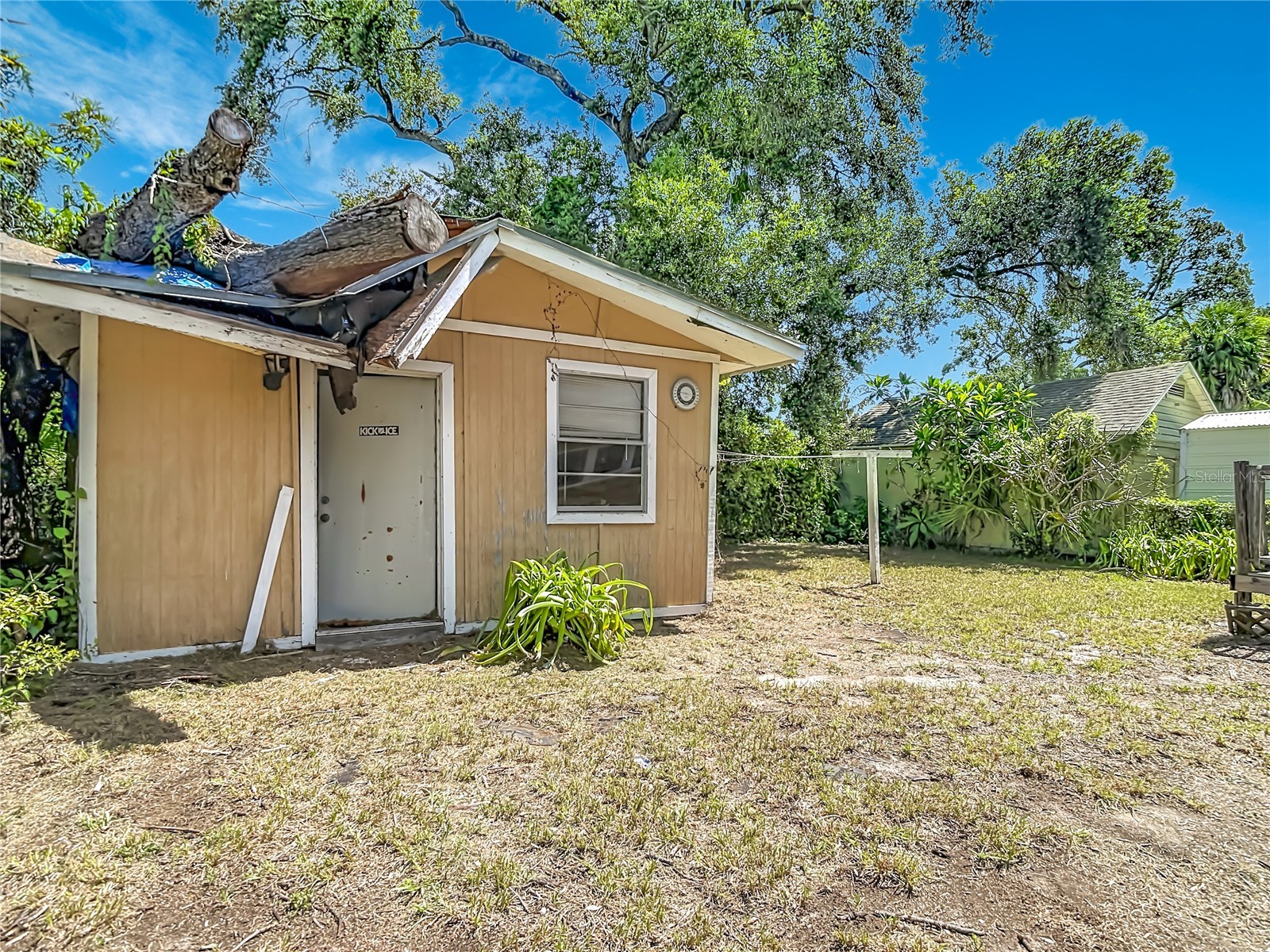 102 E Jean Street Tampa FL 33604 O6419091 image34