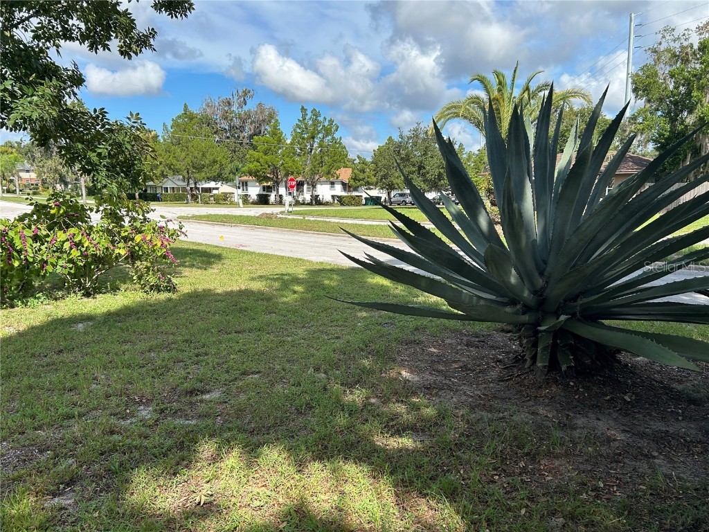 102 E Pendleton Avenue Eustis FL 32726 G5102305 image33