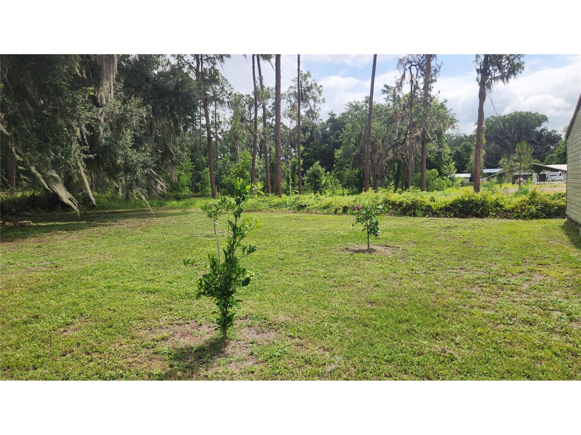 102 Eberhard Avenue Palatka FL 32177 - ST JOHNS RIVER FC318336 image31