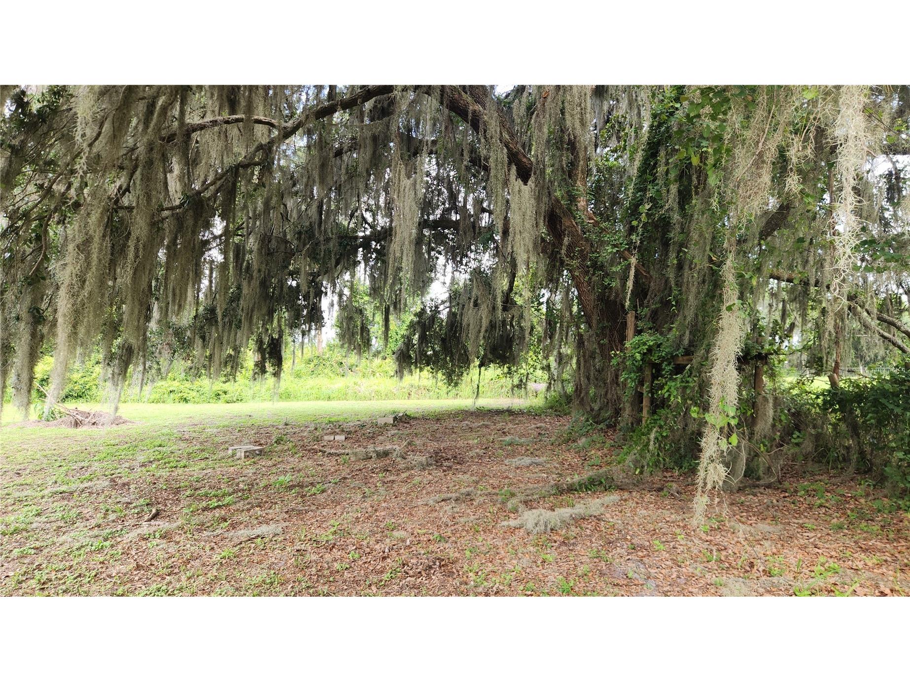 102 Eberhard Avenue Palatka FL 32177 - ST JOHNS RIVER FC318336 image33