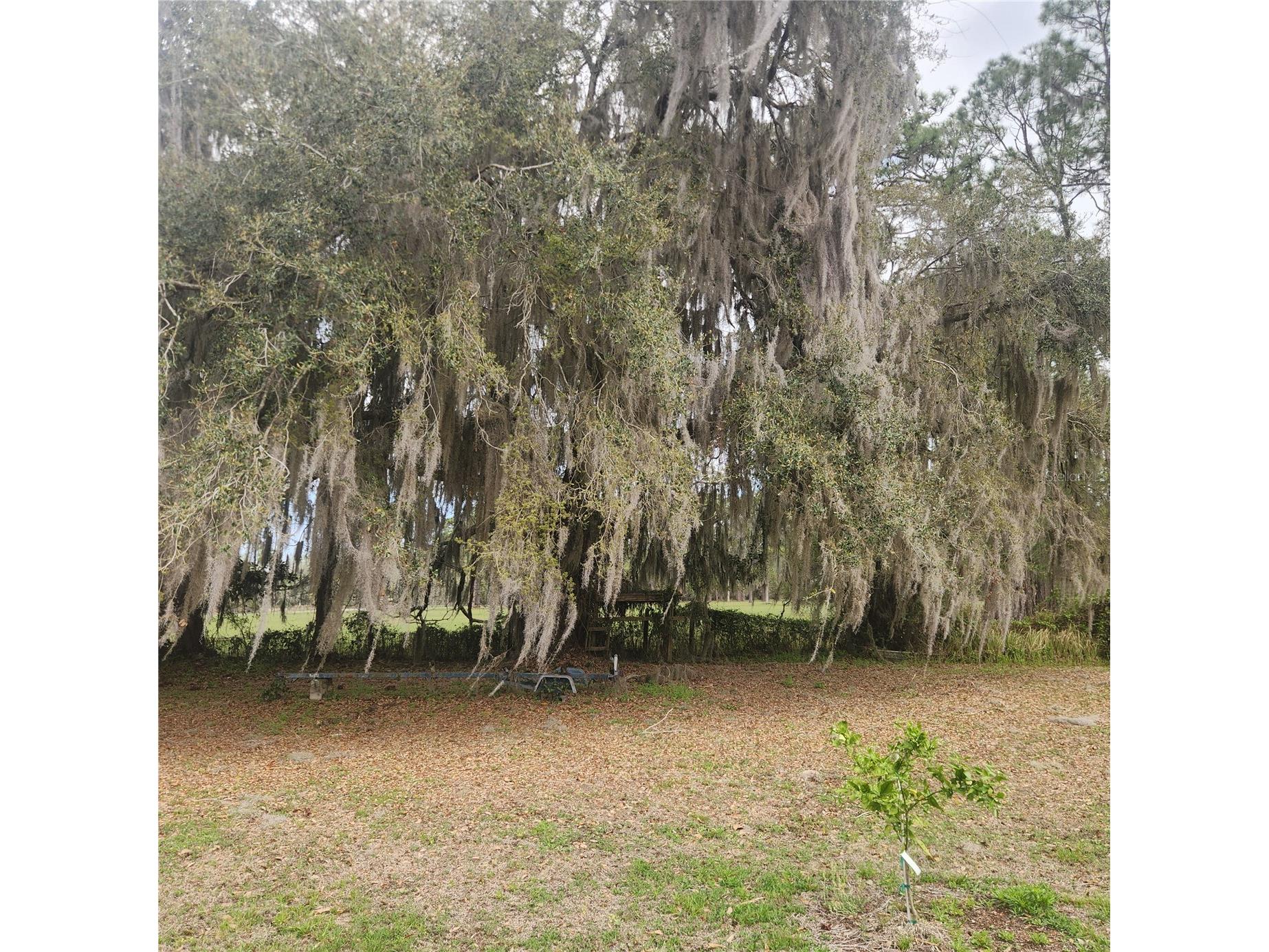 102 Eberhard Avenue Palatka FL 32177 - ST JOHNS RIVER FC318336 image8