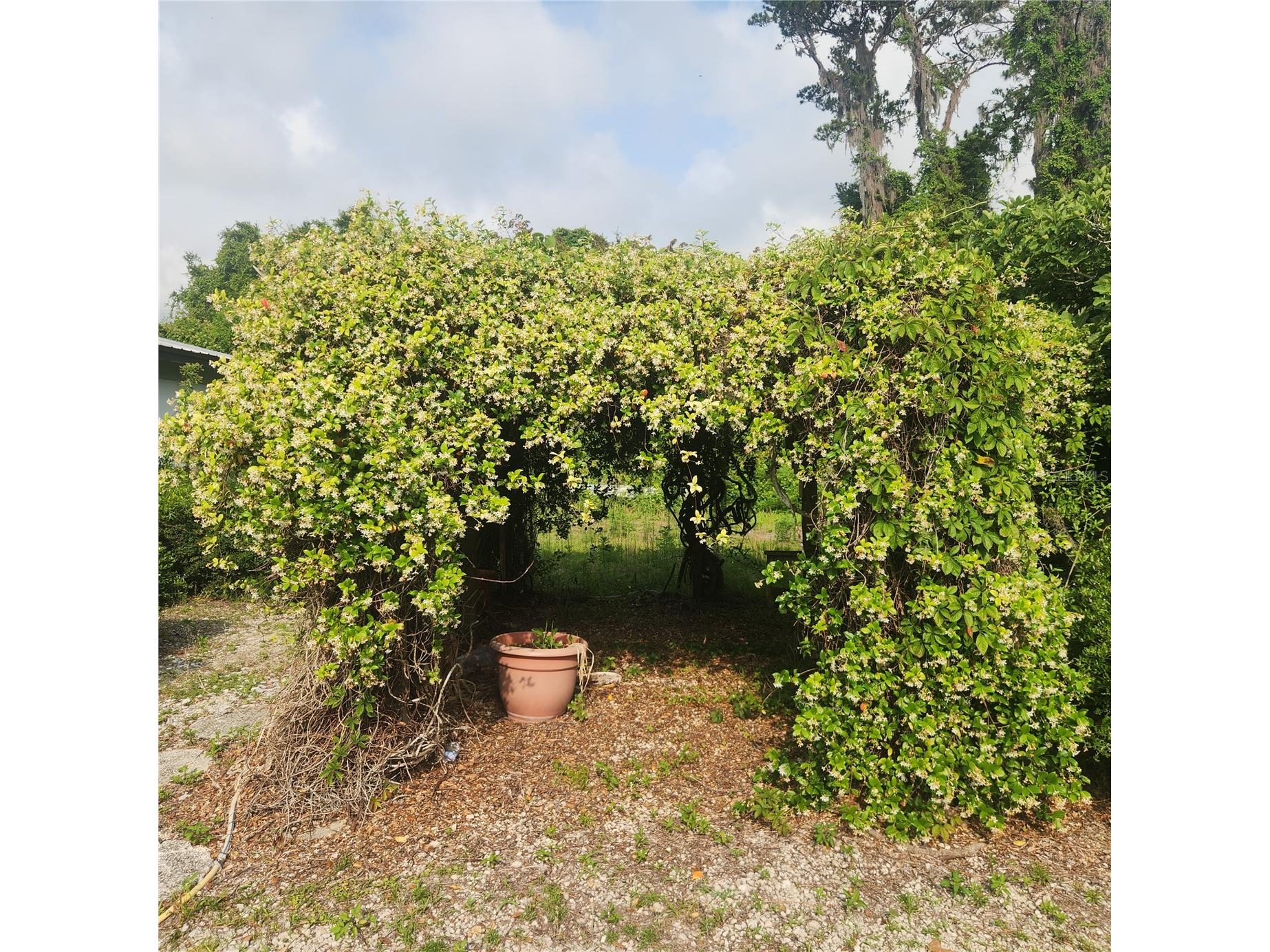 102 Eberhard Avenue Palatka FL 32177 - ST JOHNS RIVER FC318336 image9