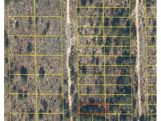 102 Kansas Avenue Hawthorne FL 32640 O6277718 image1