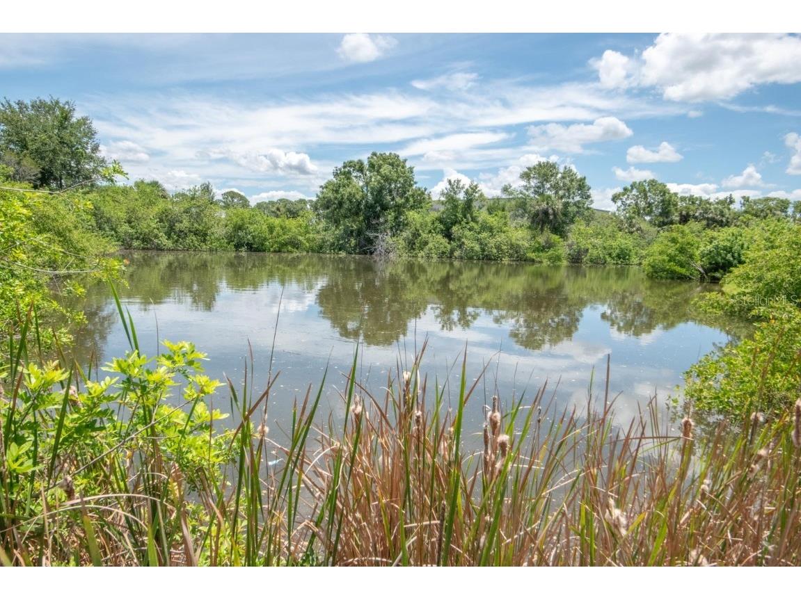 102 Lookout Drive Apollo Beach FL 33572 TB8403999 image9