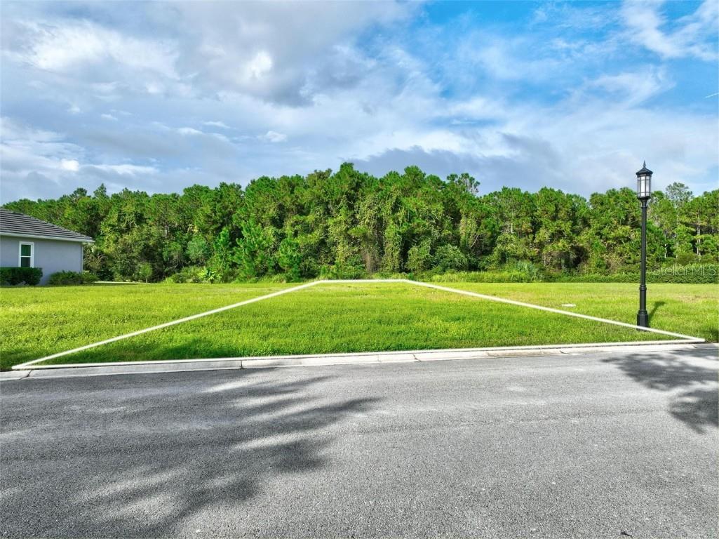 102 Marsh Elder Square Palm Coast FL 32137 FC315064 image10