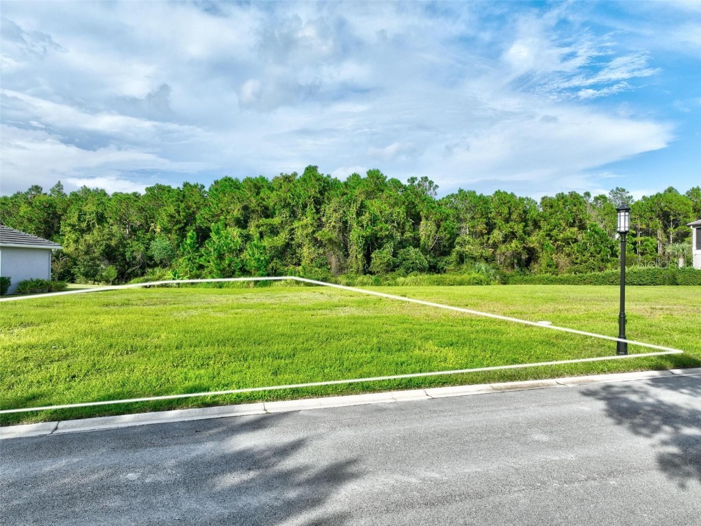 102 Marsh Elder Square Palm Coast FL 32137 FC315064 image9