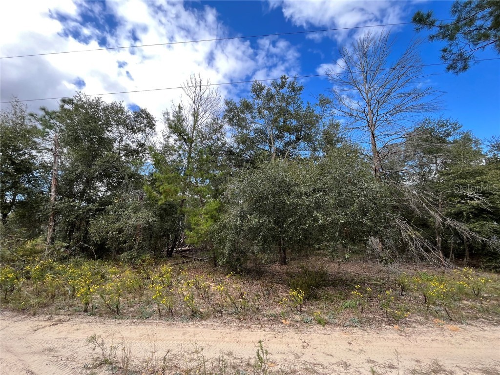 102 Morning Glory Lane Interlachen FL 32148 OK223368 image1