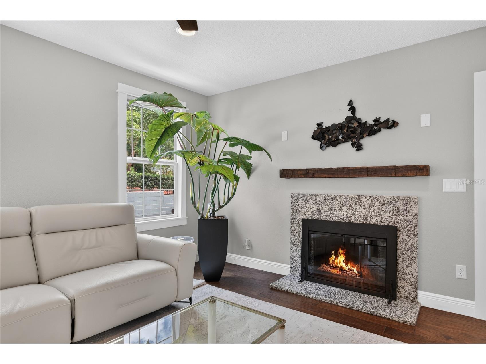 102 N Clayton Street Mount Dora FL 32757 G5113969 image8