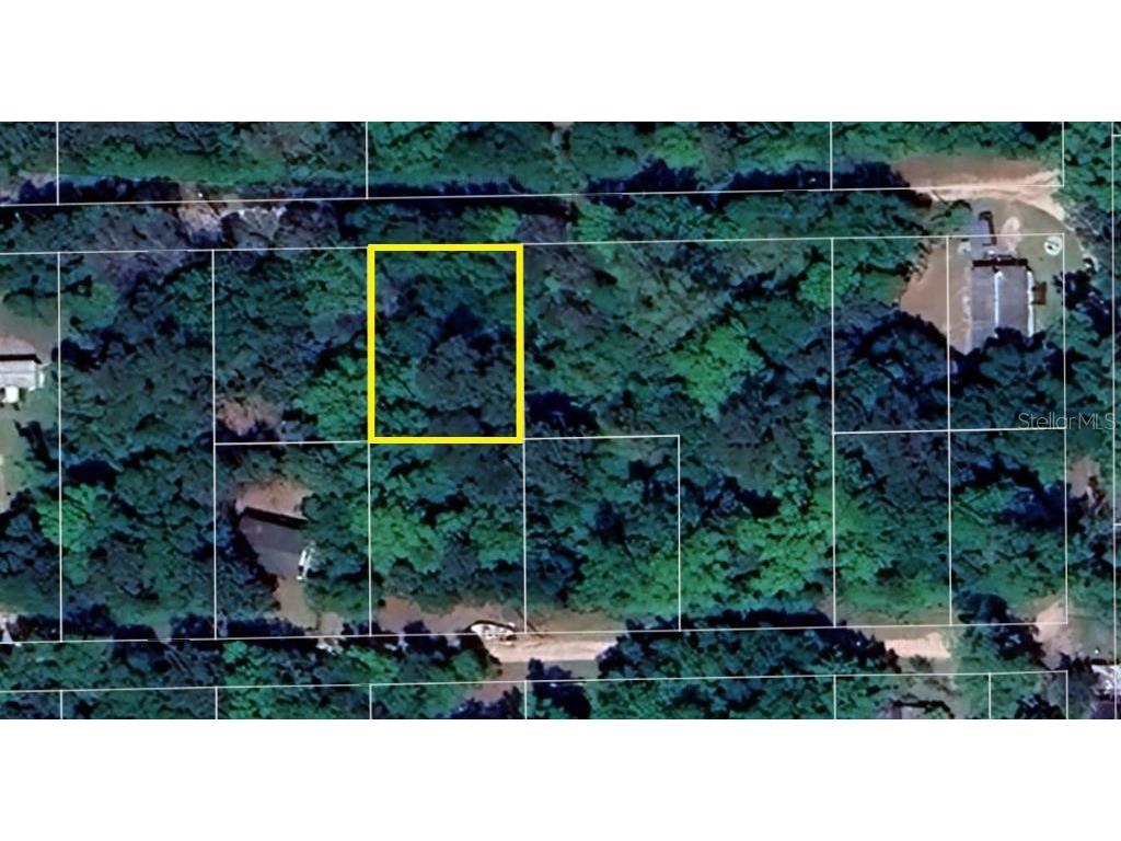 102 NE 37th Lane Silver Springs FL 34488 W7879137 image1