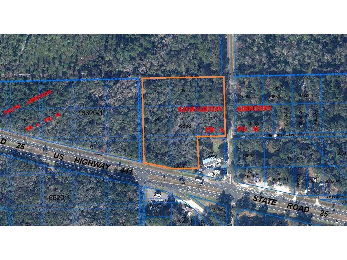 102 NE Highway 441 Micanopy FL 32667 GC527653 image6