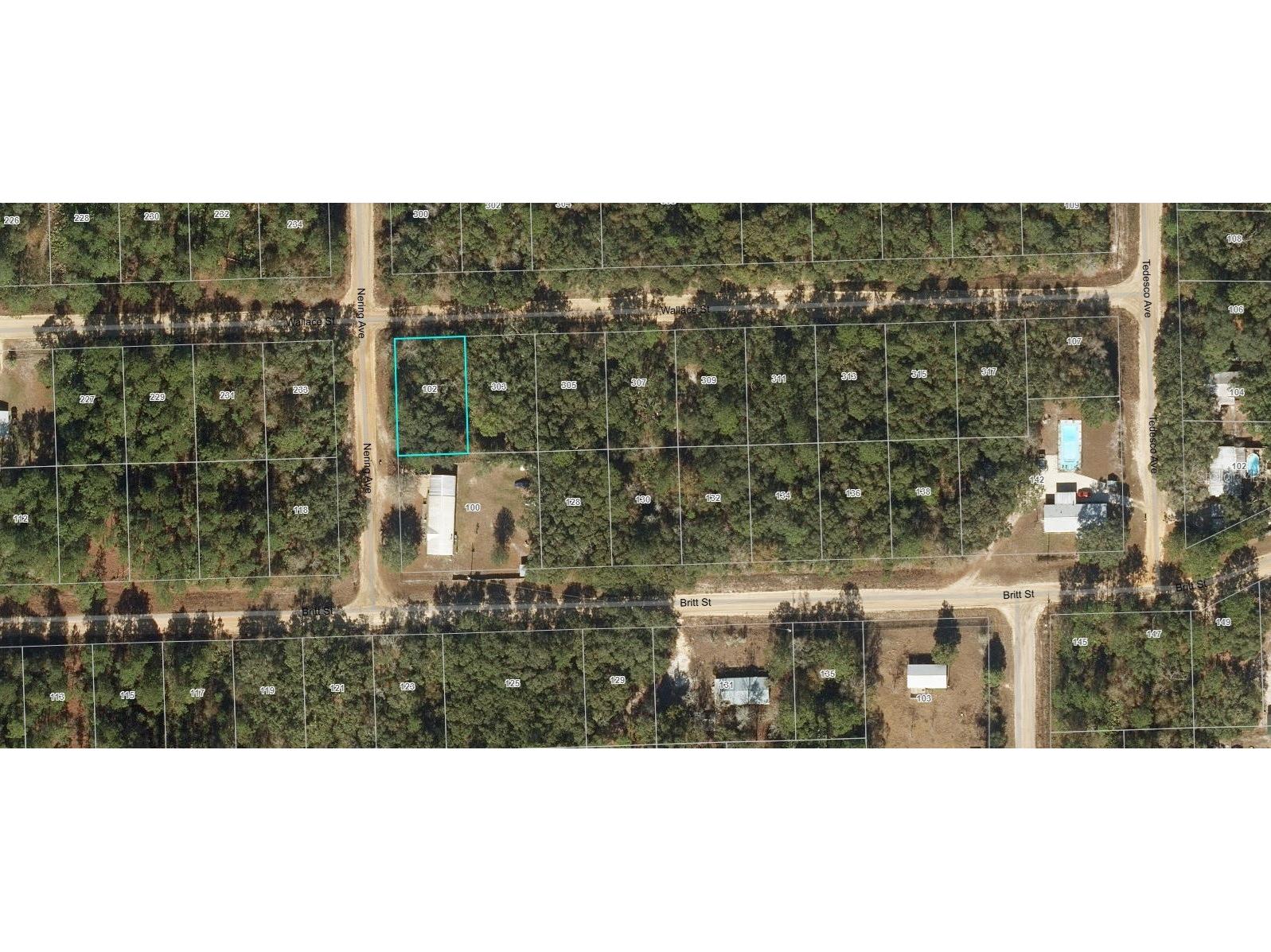 102 Nering Avenue Interlachen FL 32148 OM699740 image1