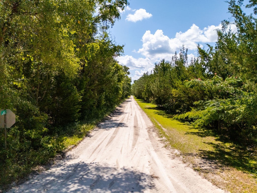 102 Pl/Nw 25 Court NW Branford FL 32008 OM723514 image15