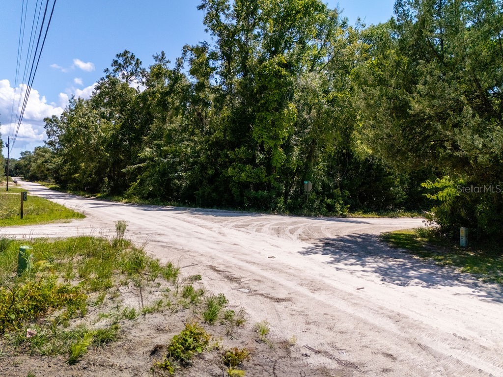 102 Pl/Nw 25 Court NW Branford FL 32008 OM723514 image16