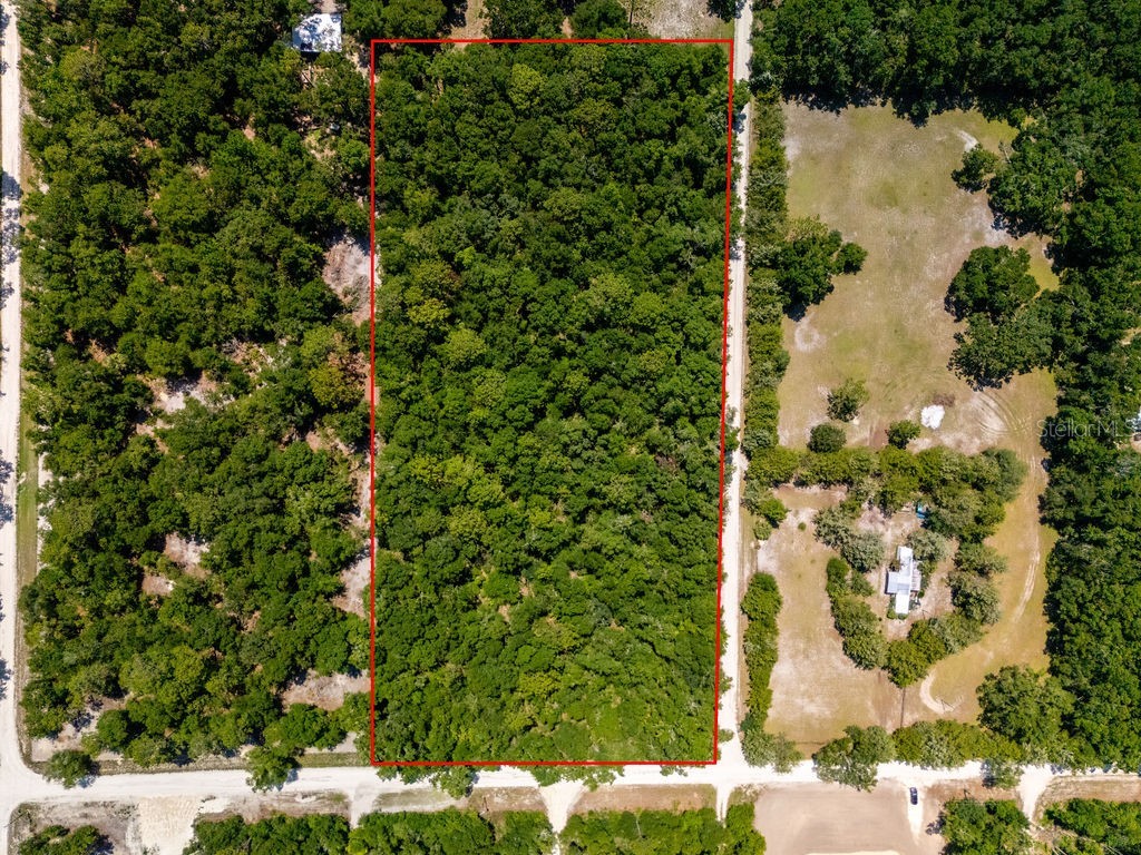 102 Pl/Nw 25 Court NW Branford FL 32008 OM723514 image4