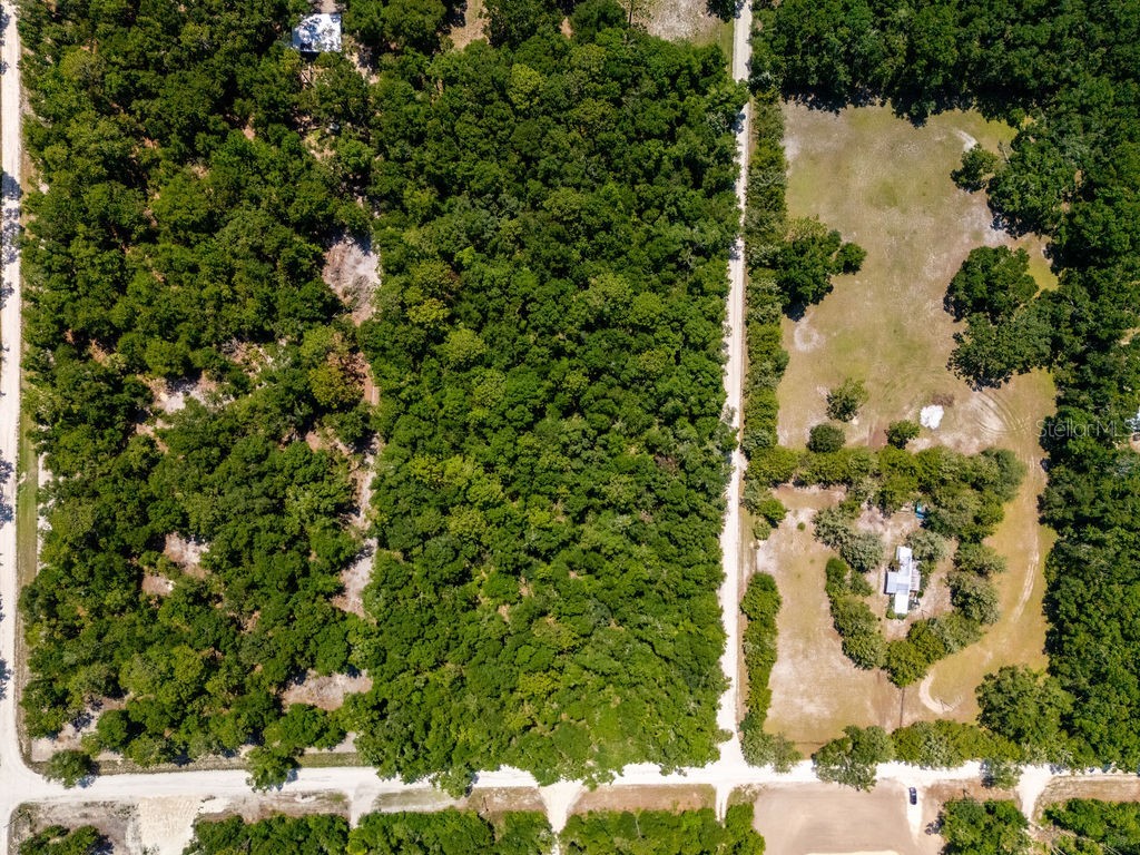 102 Pl/Nw 25 Court NW Branford FL 32008 OM723514 image5