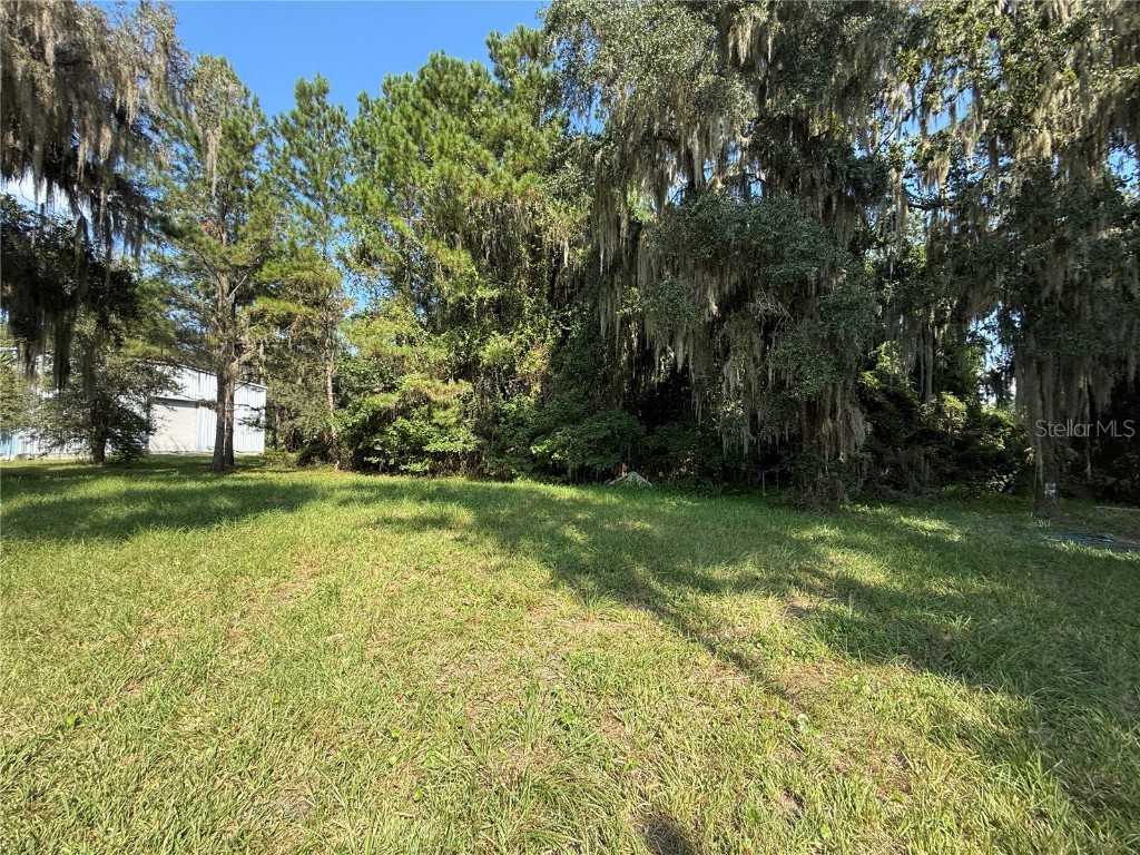 102 Possum Hollow Road Georgetown FL 32139 G5102320 image9