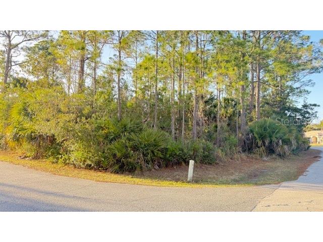 102 Randolph Drive Palm Coast FL 32164 FC316648 image1