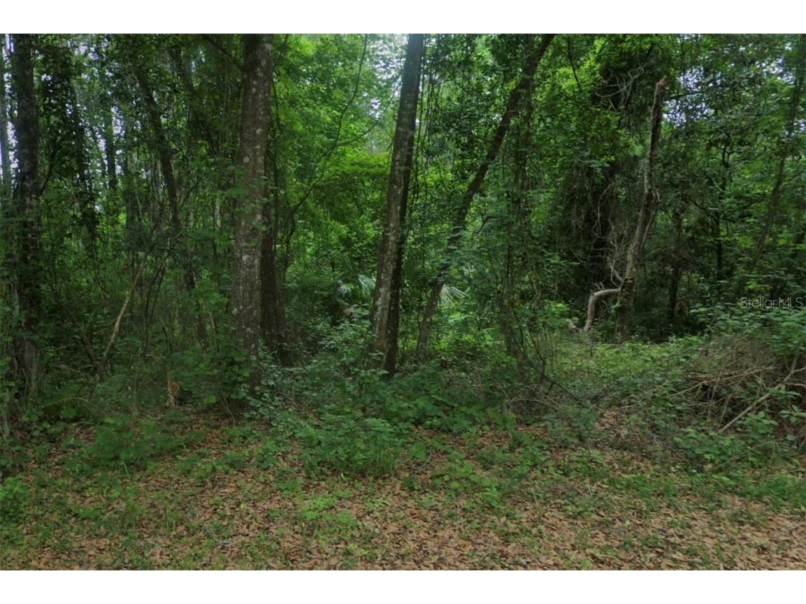 102 Ridgeline Avenue Satsuma FL 32189 O6233475 image3