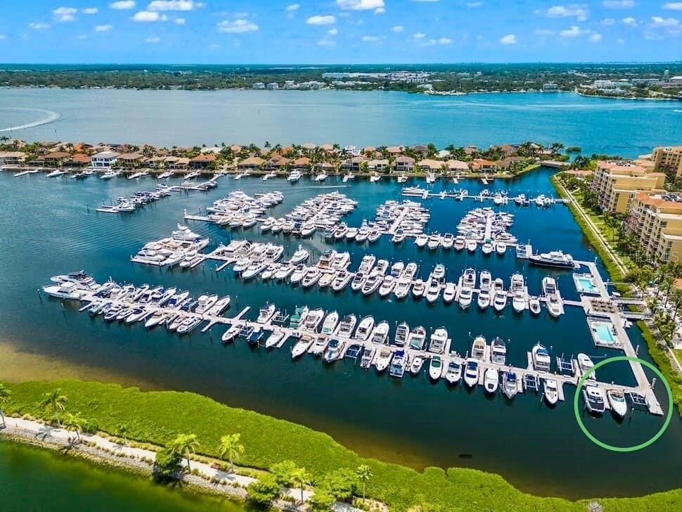 102 Riviera Dunes Way #N-1 Palmetto FL 34221 - MANATEE RIVER A4695625 image1