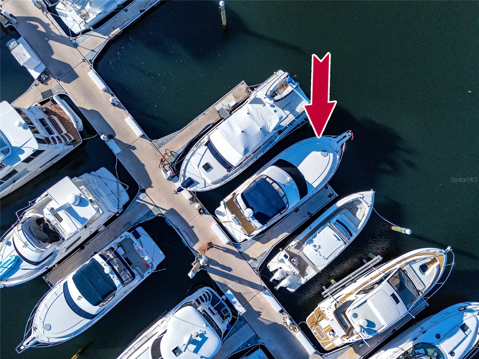 102 Riviera Dunes Way #N-13 Palmetto FL 34221 - MANATEE RIVER TB8478613 image20