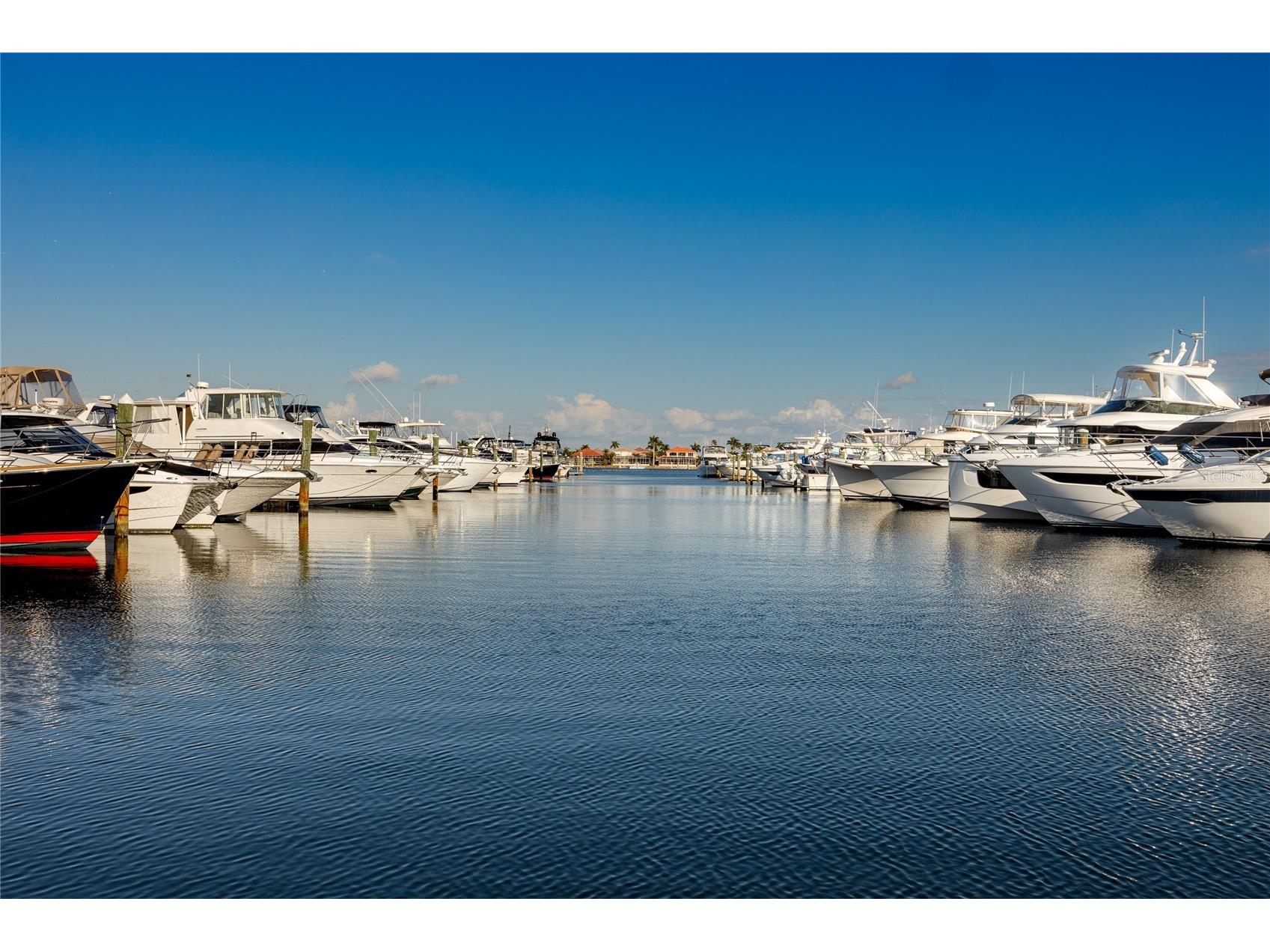 102 Riviera Dunes Way #N-13 Palmetto FL 34221 - MANATEE RIVER TB8478613 image9