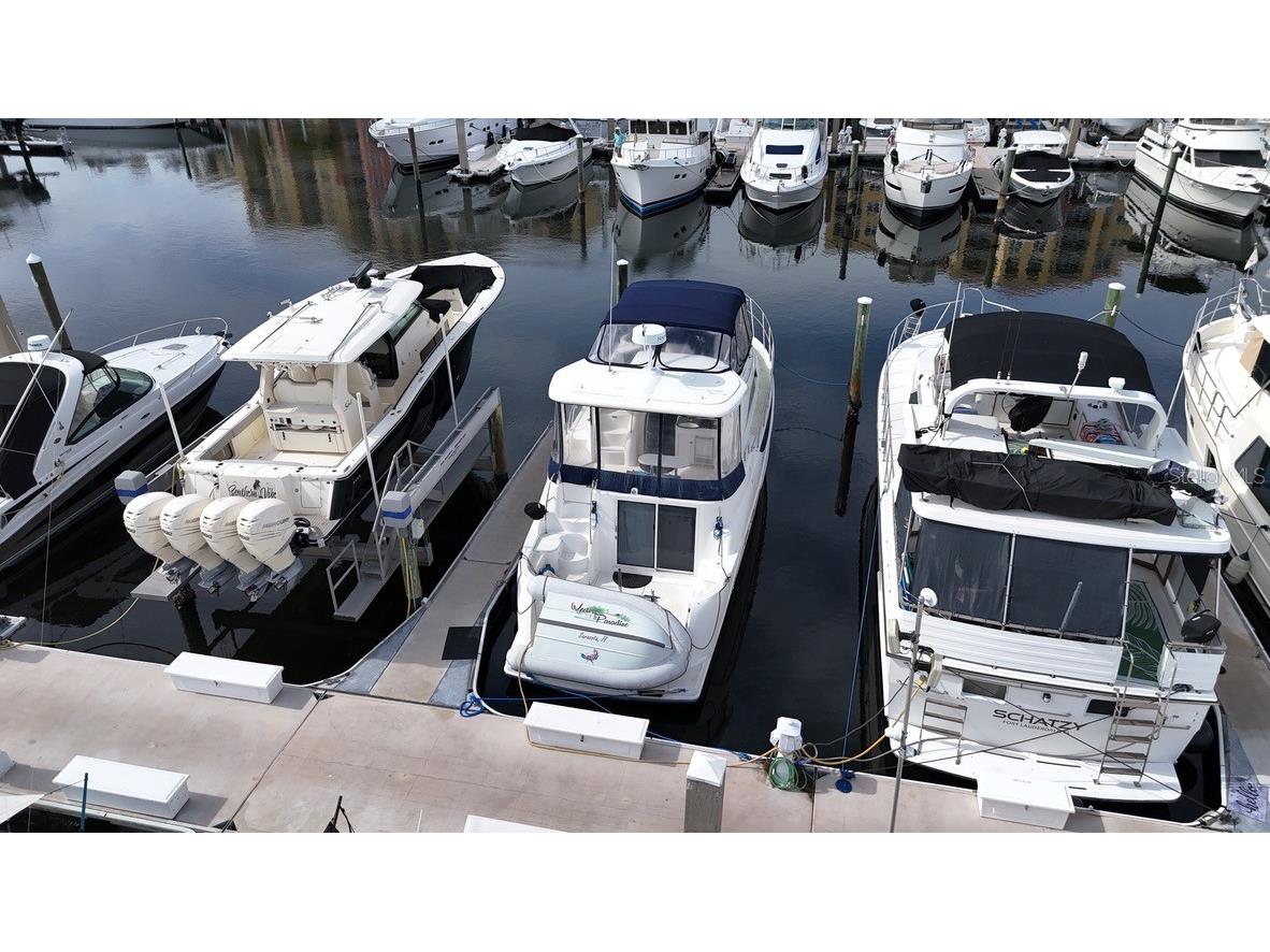 102 Riviera Dunes Way #S-72 Palmetto FL 34221 - MANATEE RIVER A4678241 image2