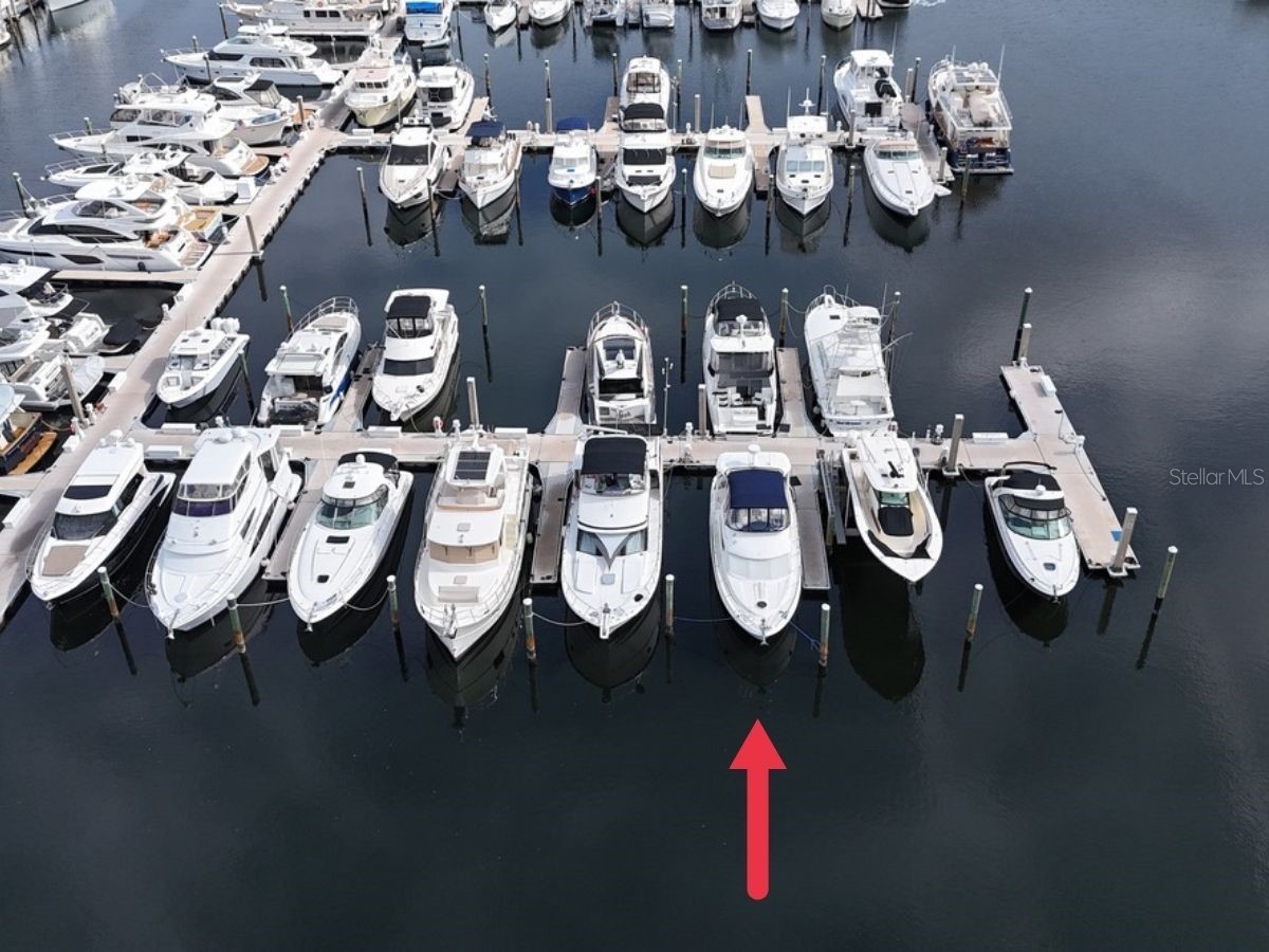 102 Riviera Dunes Way #S-72 Palmetto FL 34221 - MANATEE RIVER A4678241 image4