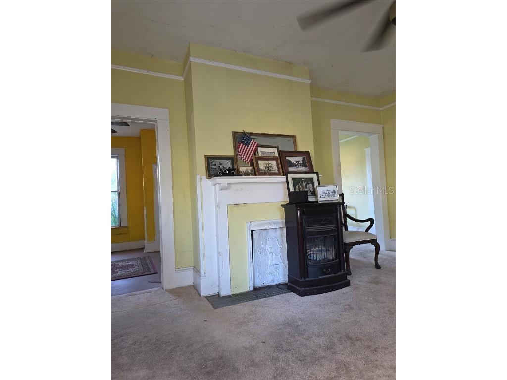 102 S Trowell Avenue Umatilla FL 32784 G5103233 image11