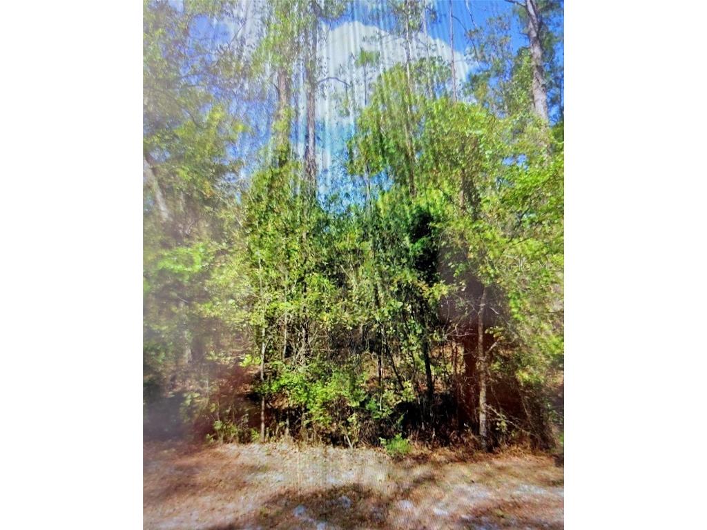 102 SE 1st Street Georgetown FL 32139 O6184364 image1