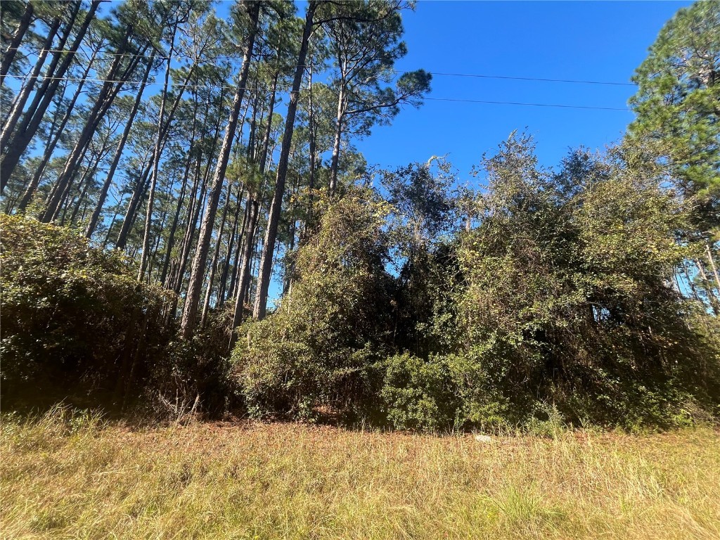 102 SE 2nd Street Georgetown FL 32139 OK223502 image1