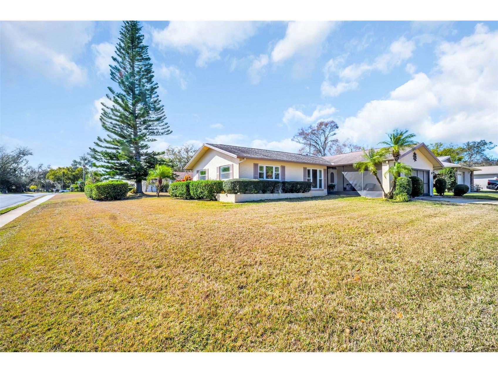 102 Stafford Drive Palm Harbor FL 34684 - LAKE TARPON TB8478206 image2