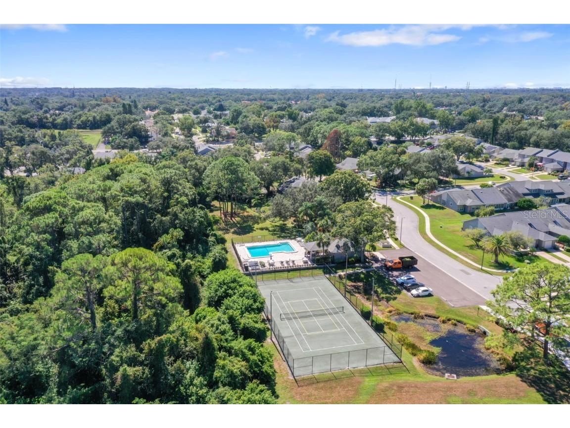 102 Steeplechase Lane Palm Harbor FL 34684 TB8438470 image29