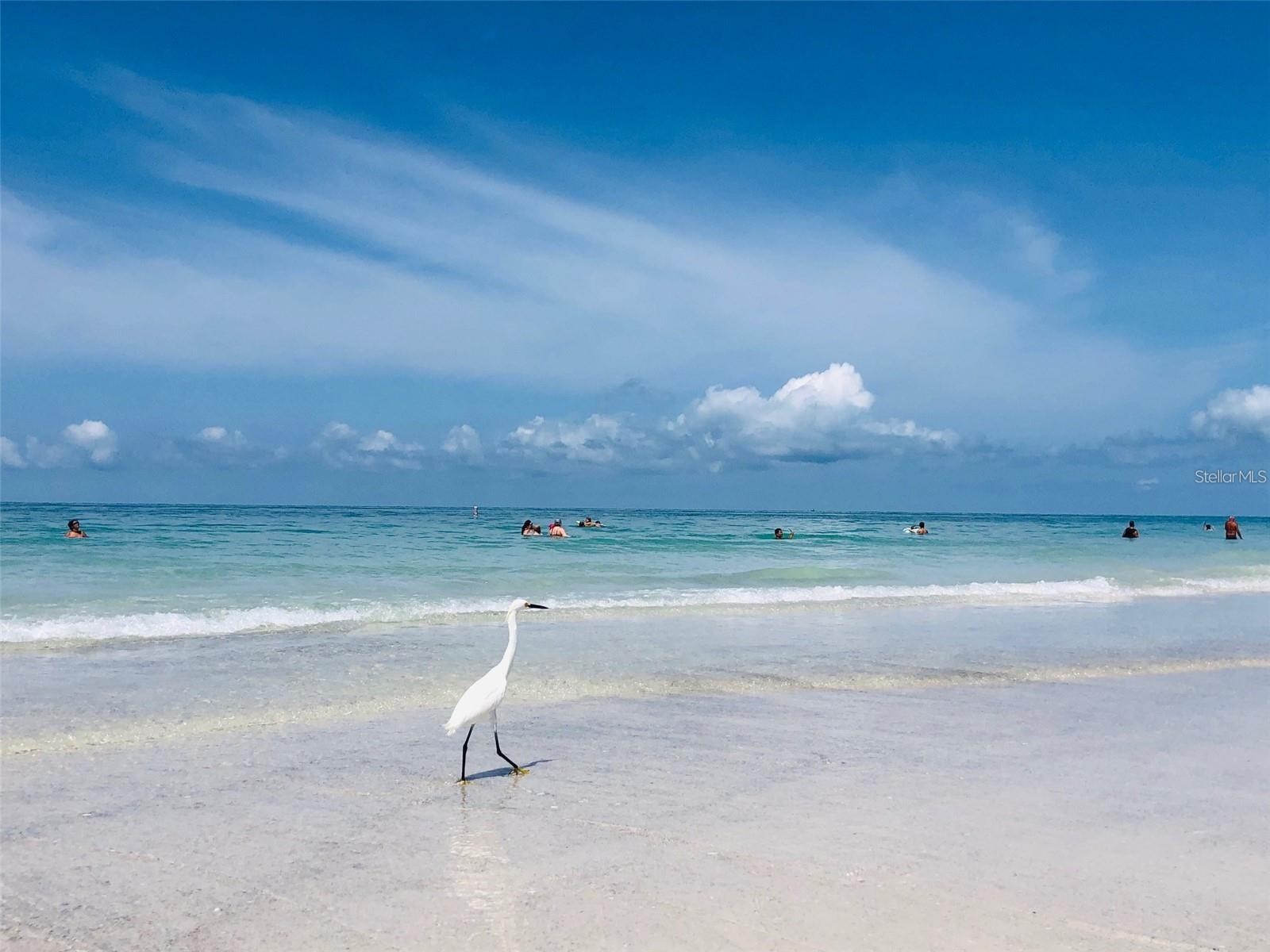 102 Sunset Lane Holmes Beach FL 34217 - GULF OF MEXICO A4680465 image13