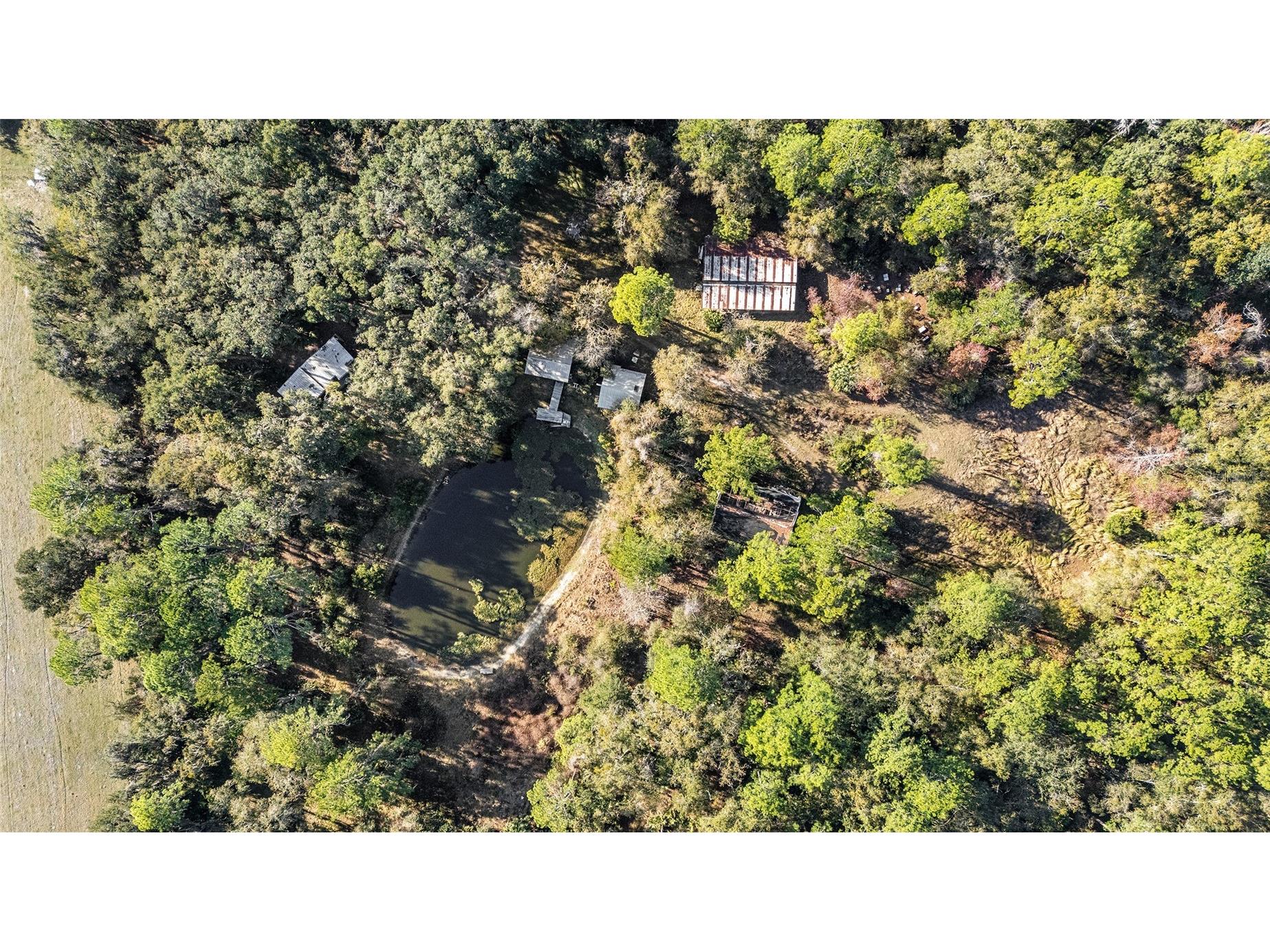 102 SW 109th Place Micanopy FL 32667 GC537149 image10