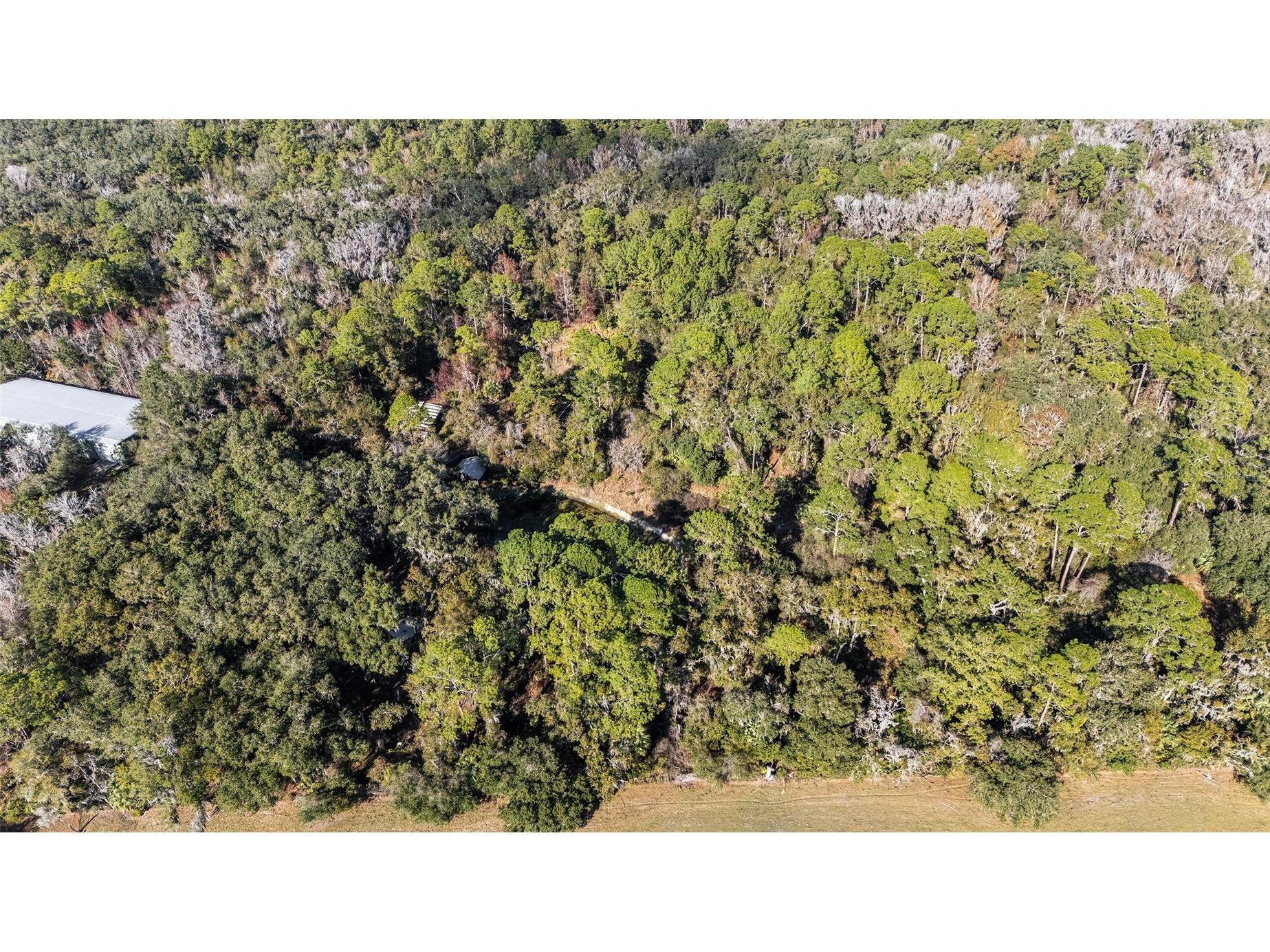 102 SW 109th Place Micanopy FL 32667 GC537149 image11