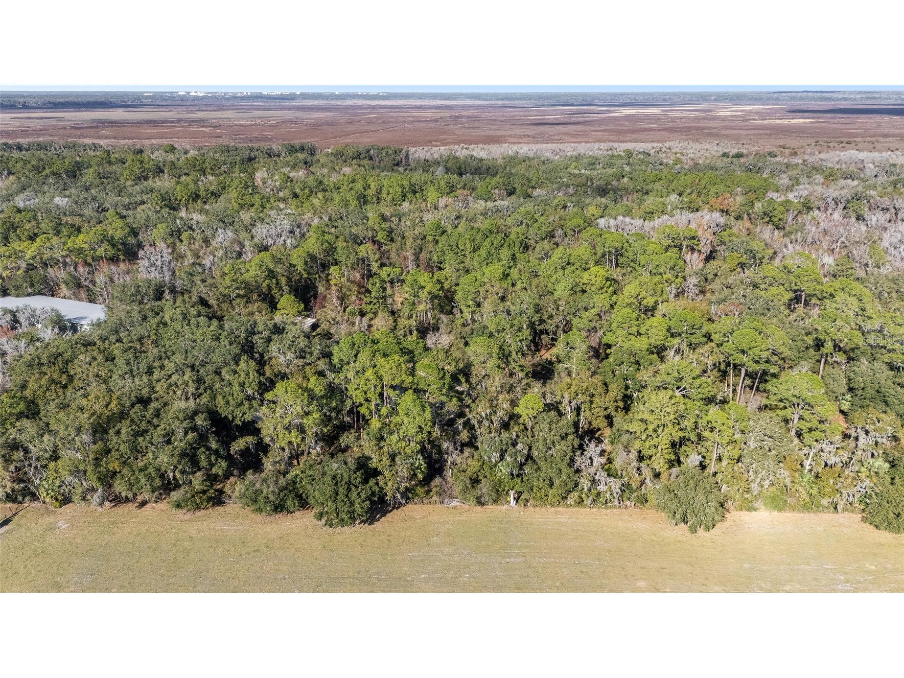 102 SW 109th Place Micanopy FL 32667 GC537149 image2