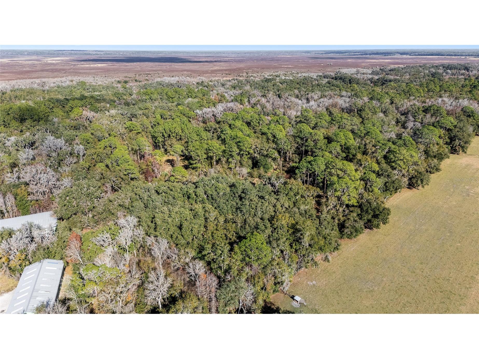 102 SW 109th Place Micanopy FL 32667 GC537149 image3