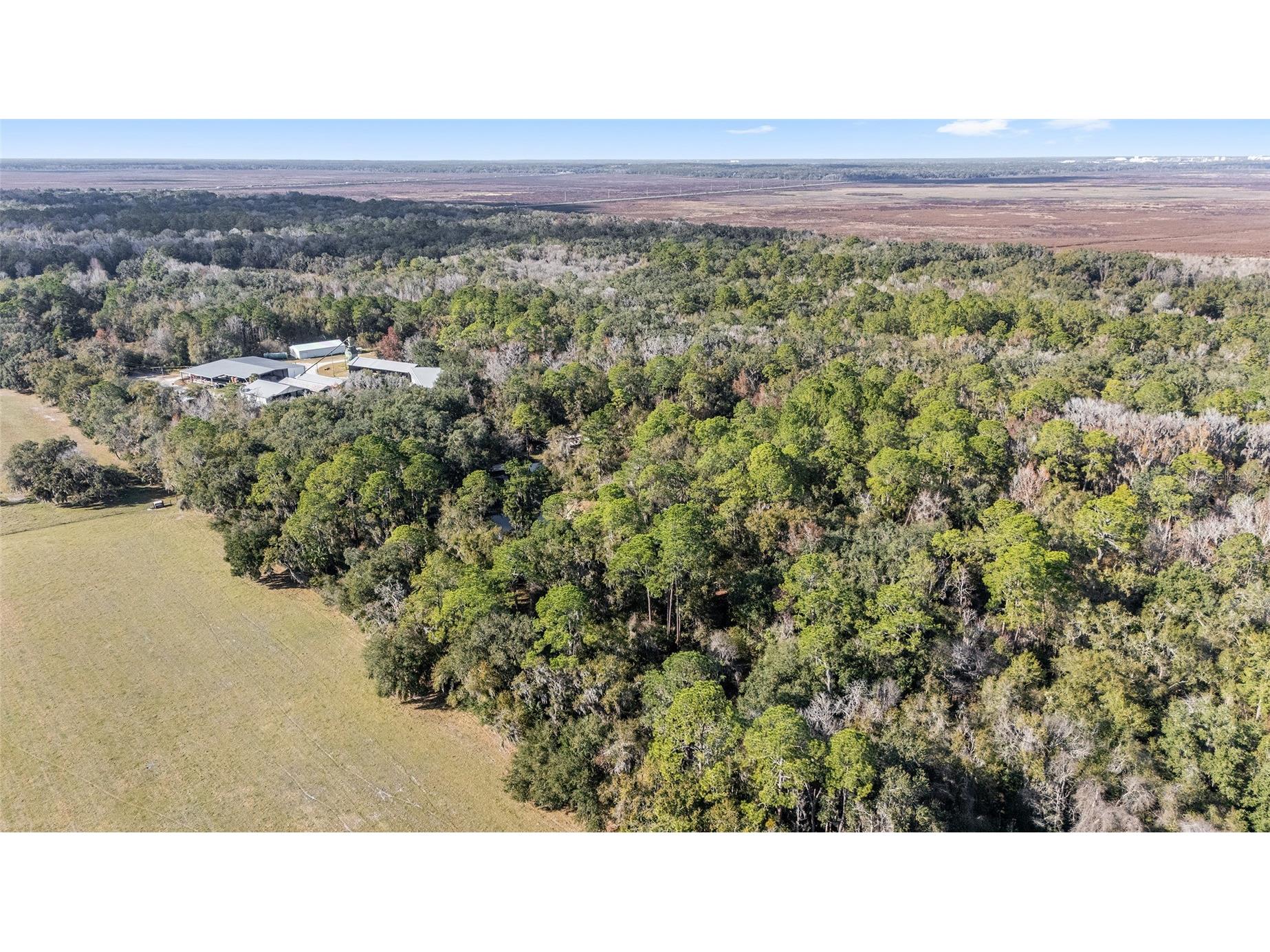 102 SW 109th Place Micanopy FL 32667 GC537149 image4