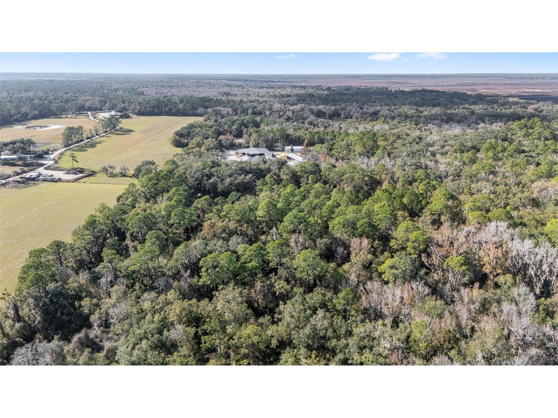 102 SW 109th Place Micanopy FL 32667 GC537149 image5