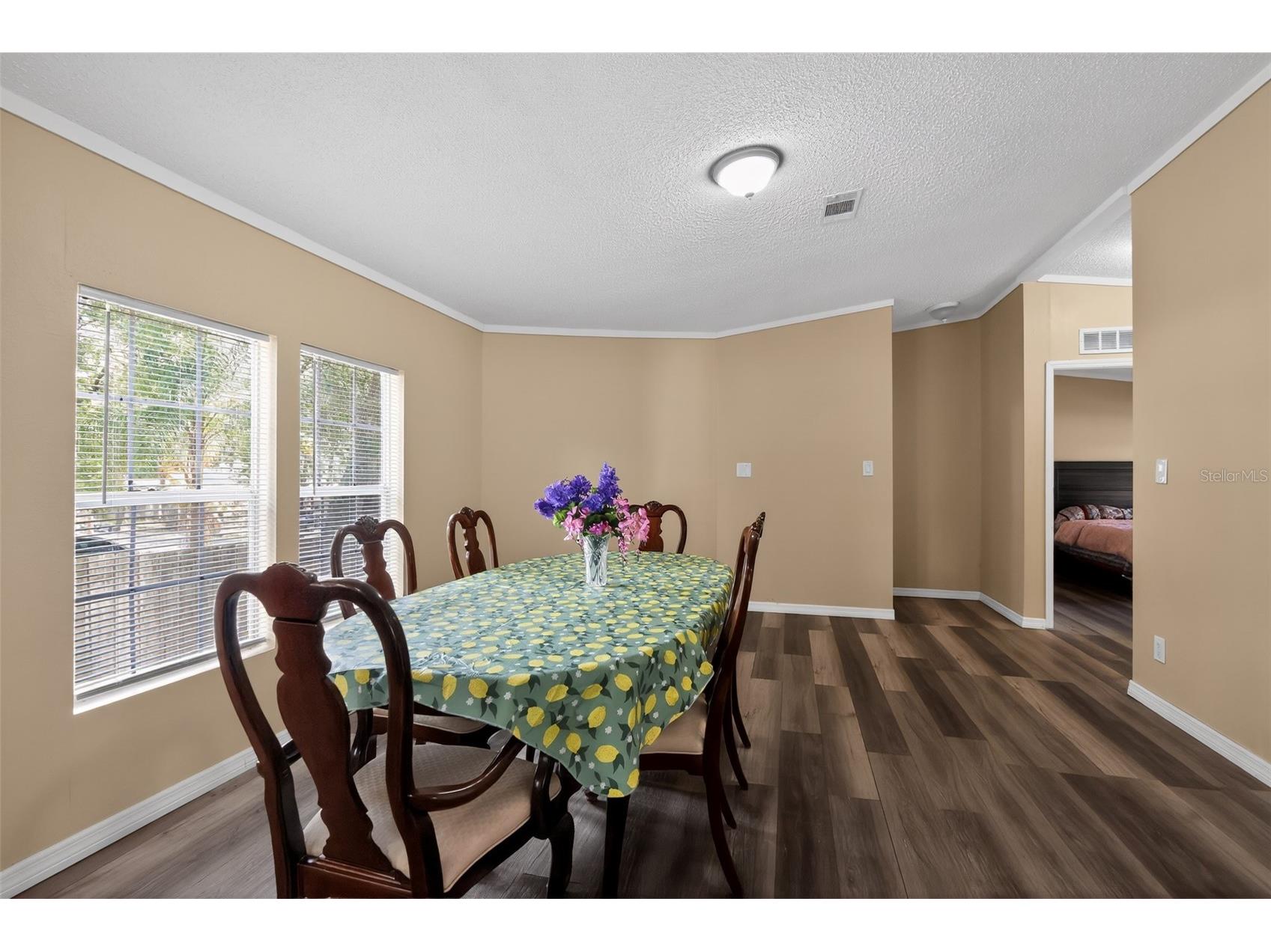 102 Third Street Lady Lake FL 32159 O6413801 image15