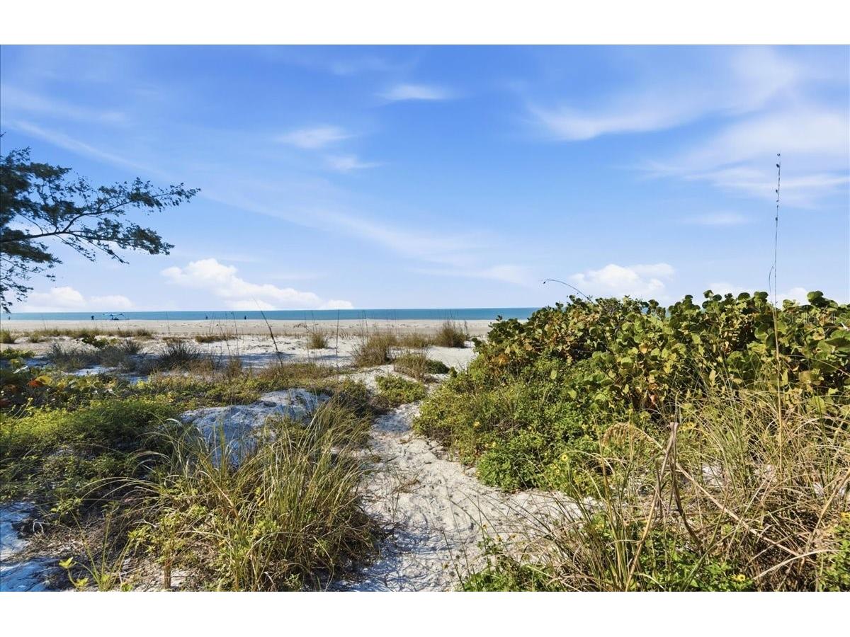 102 Tuna Street Anna Maria FL 34216 A4681558 image64