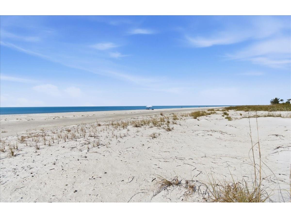 102 Tuna Street Anna Maria FL 34216 A4681558 image67