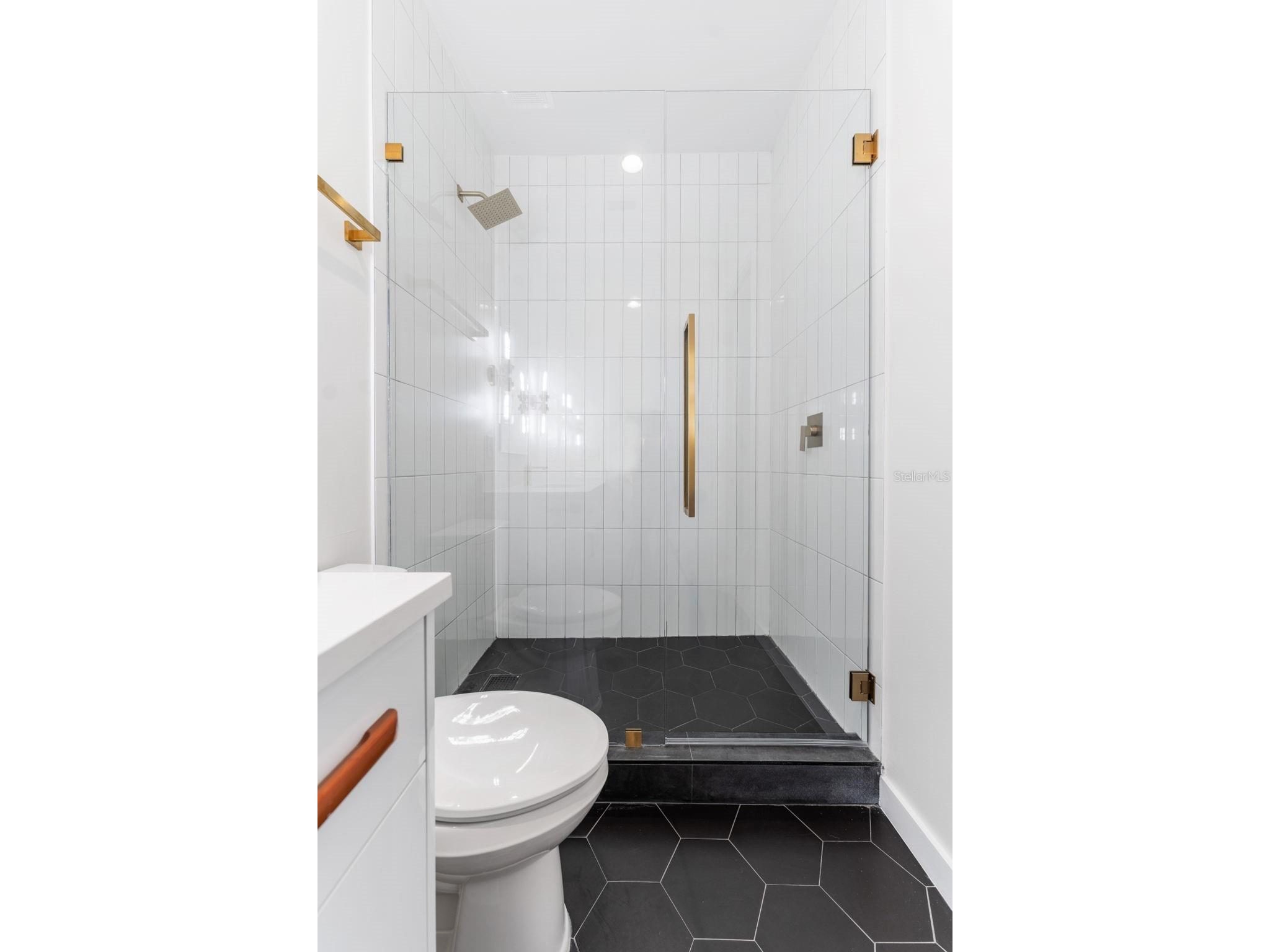 102 W Adalee Street #4 Tampa FL 33603 TB8486418 image28