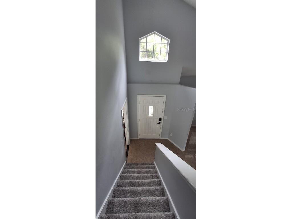 102 W Frederick Avenue Lake Mary FL 32746 O6312019 image26