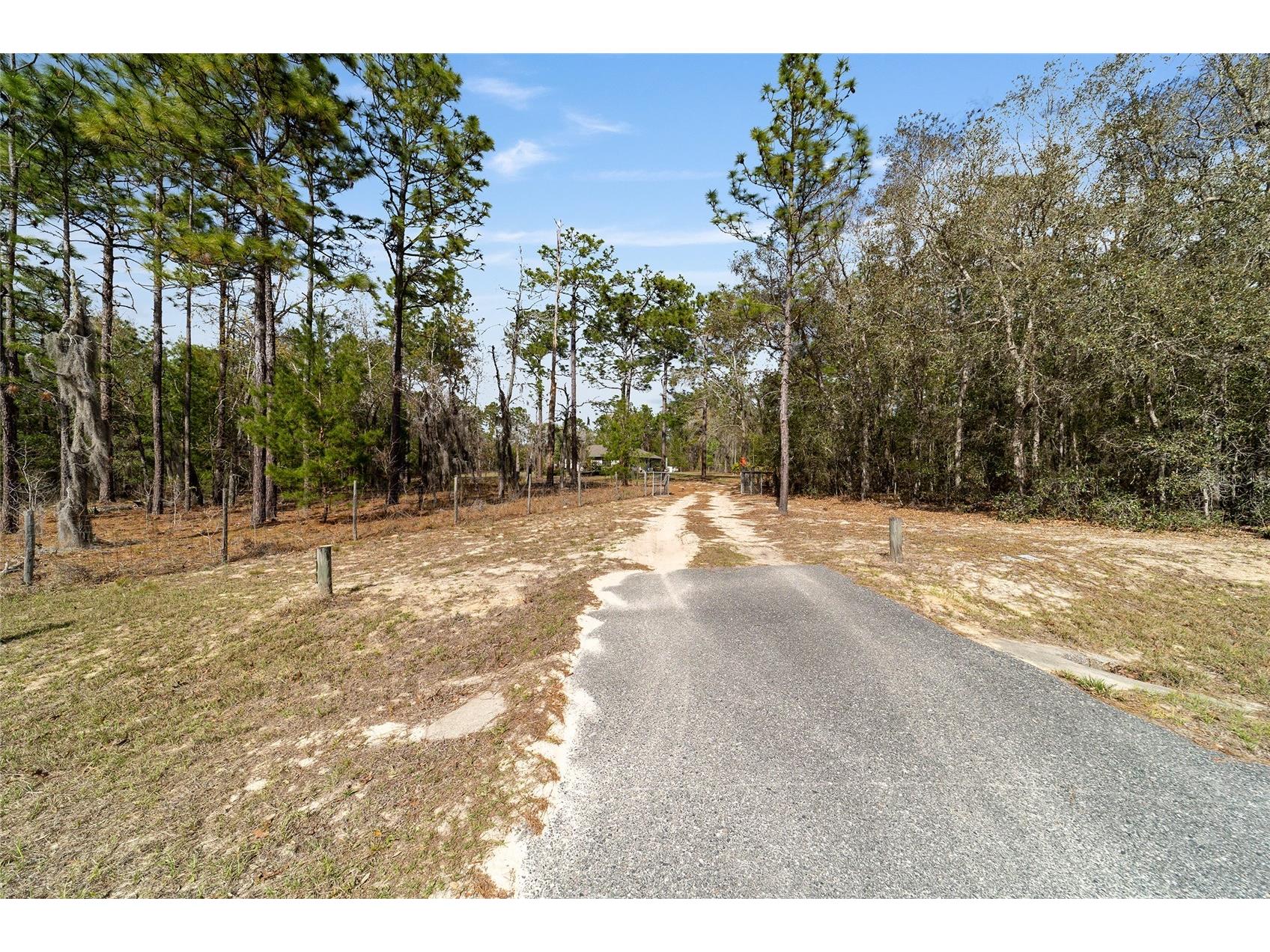 102 Whirlwind Way Hawthorne FL 32640 OM720218 image40