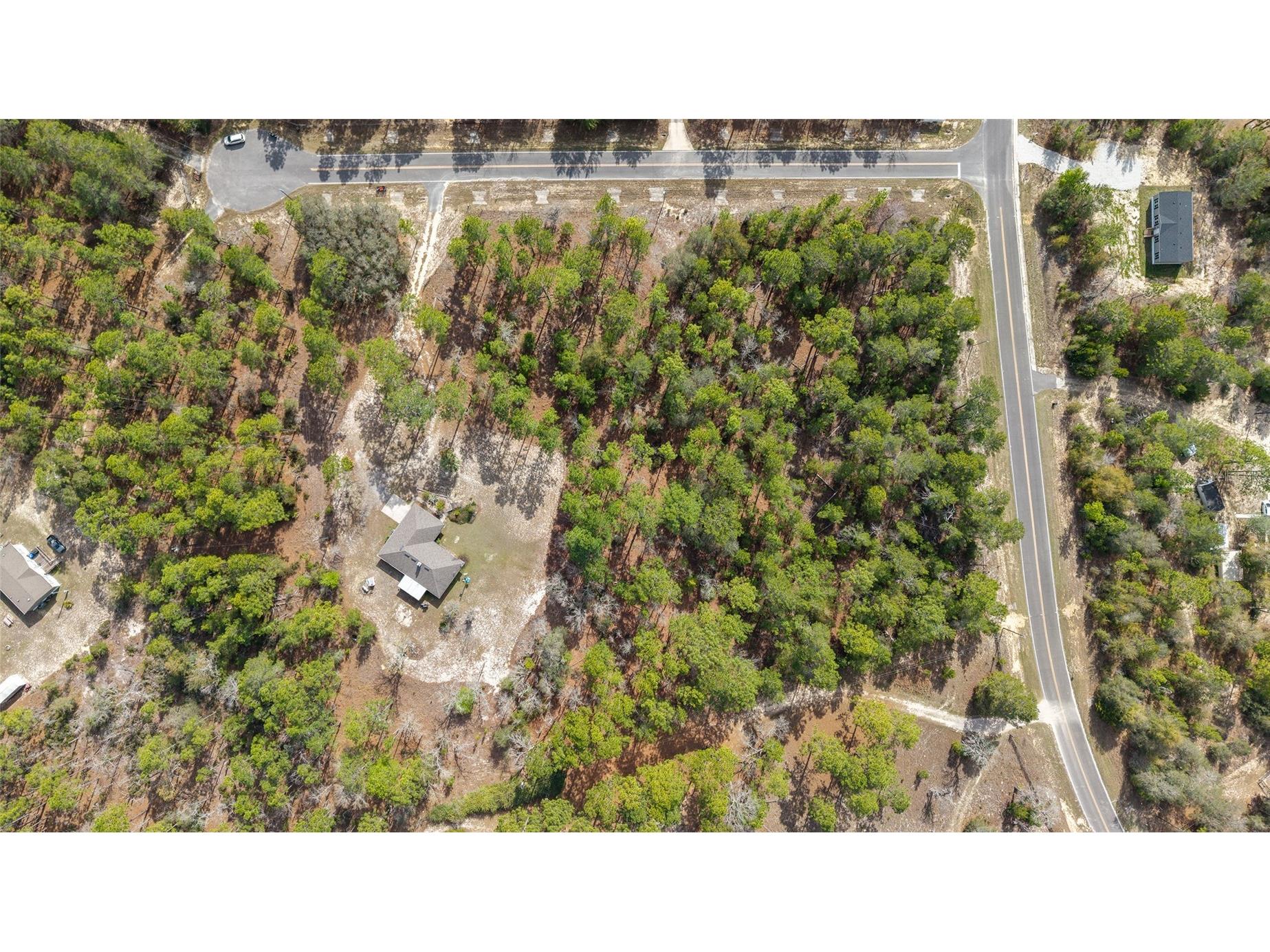 102 Whirlwind Way Hawthorne FL 32640 OM720218 image64