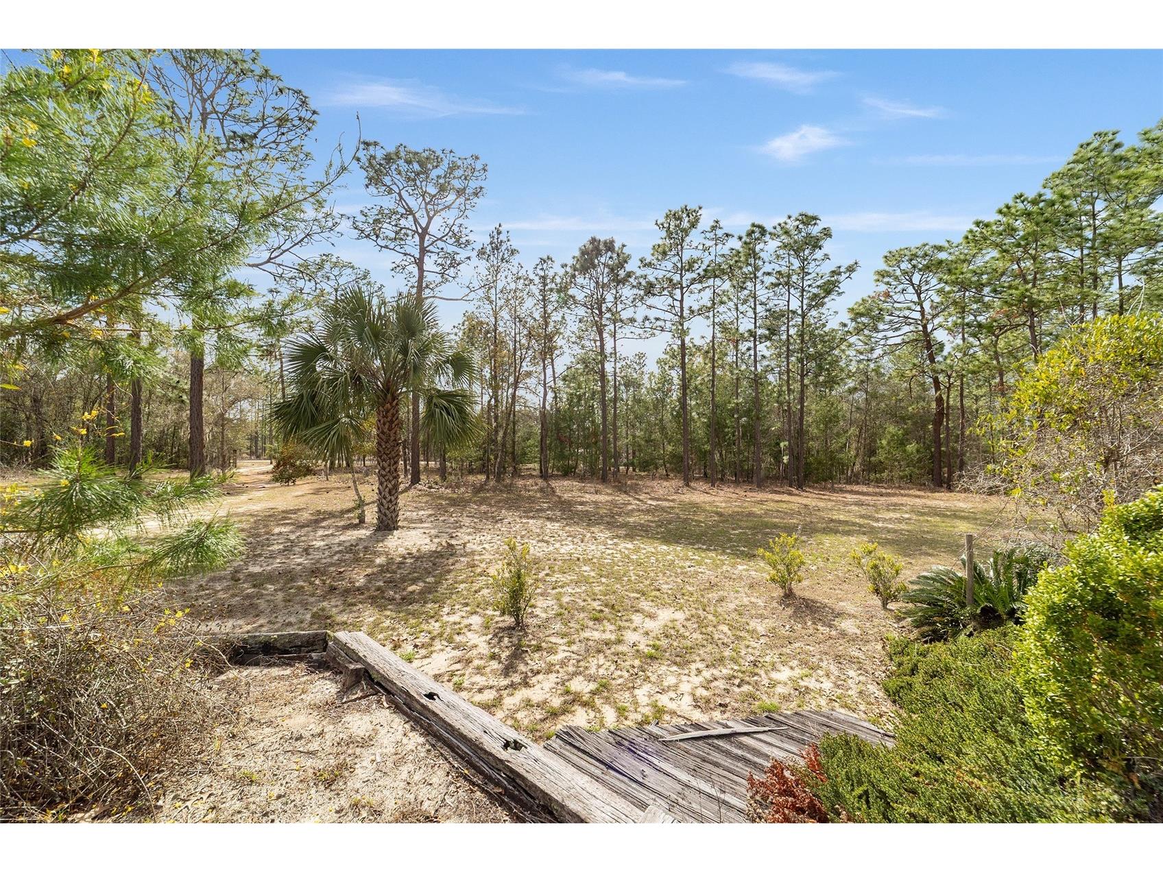 102 Whirlwind Way Hawthorne FL 32640 OM720218 image65