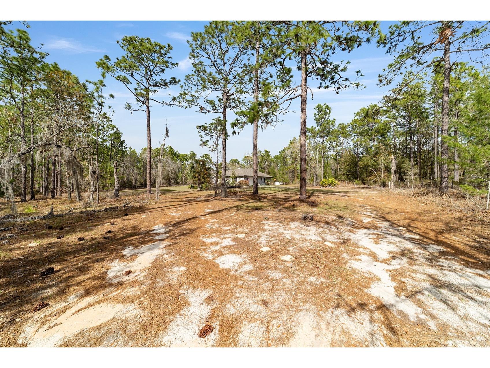 102 Whirlwind Way Hawthorne FL 32640 OM720218 image66